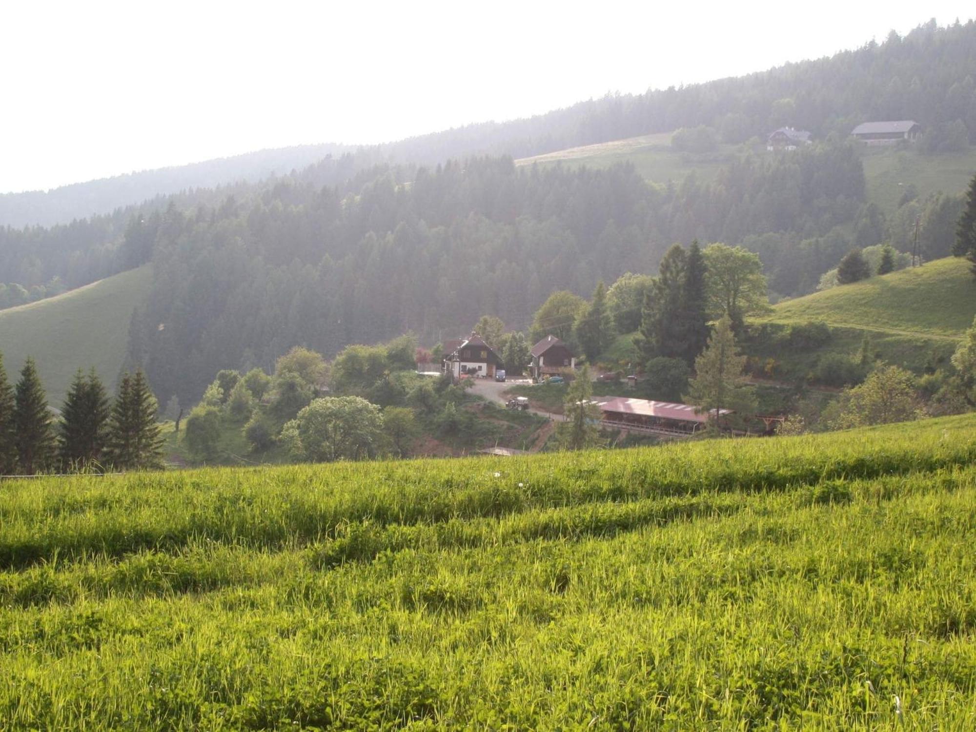 Detached Wooden Chalet In Liebenfels Carinthia Near The Simonh He Ski Area Zewnętrze zdjęcie