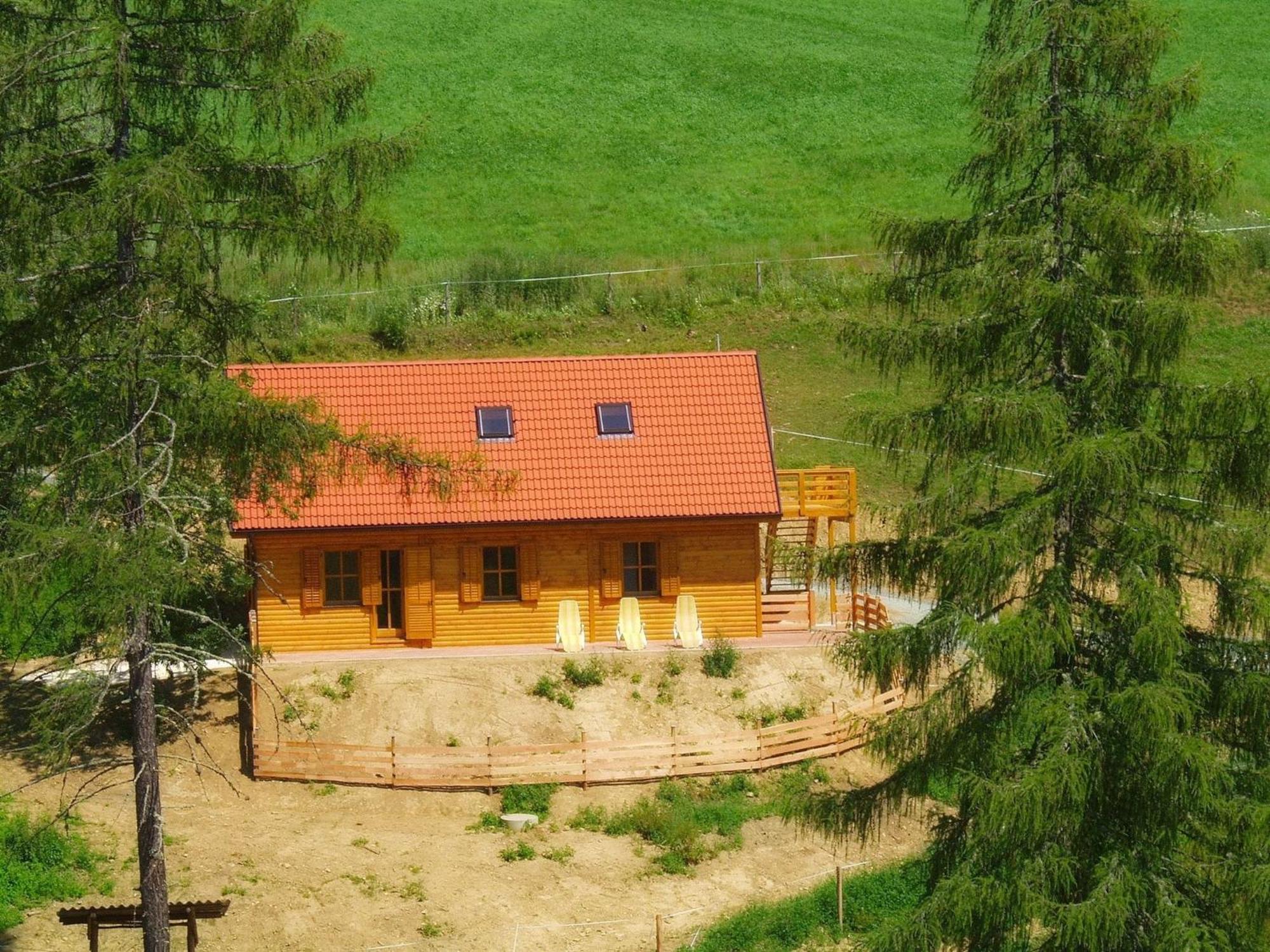 Detached Wooden Chalet In Liebenfels Carinthia Near The Simonh He Ski Area Zewnętrze zdjęcie