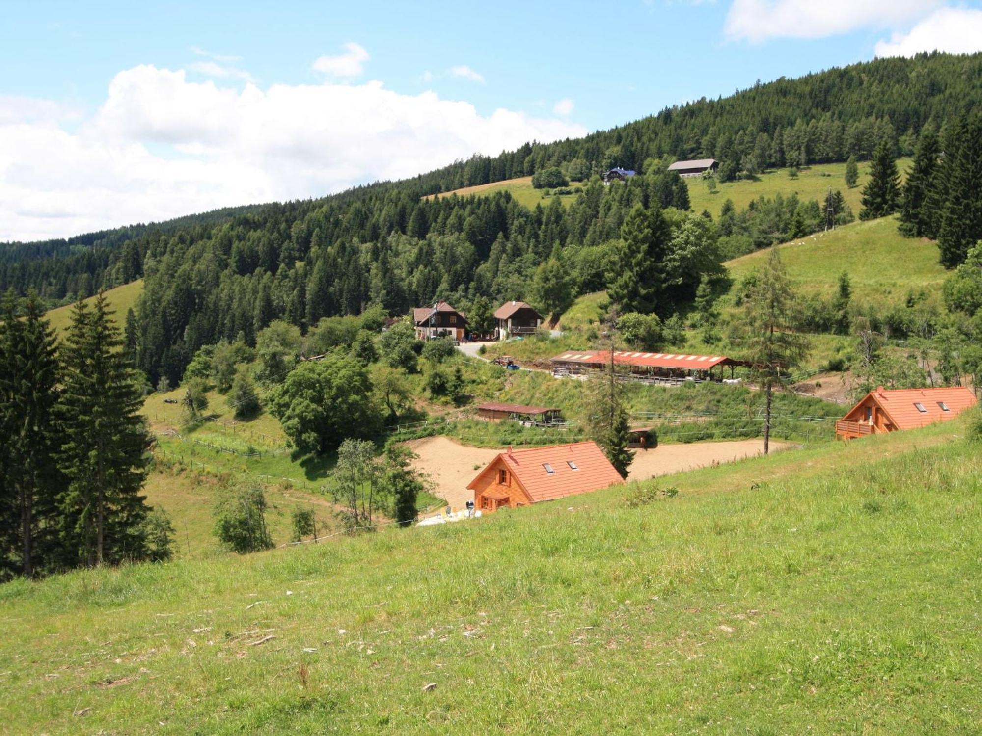 Detached Wooden Chalet In Liebenfels Carinthia Near The Simonh He Ski Area Zewnętrze zdjęcie