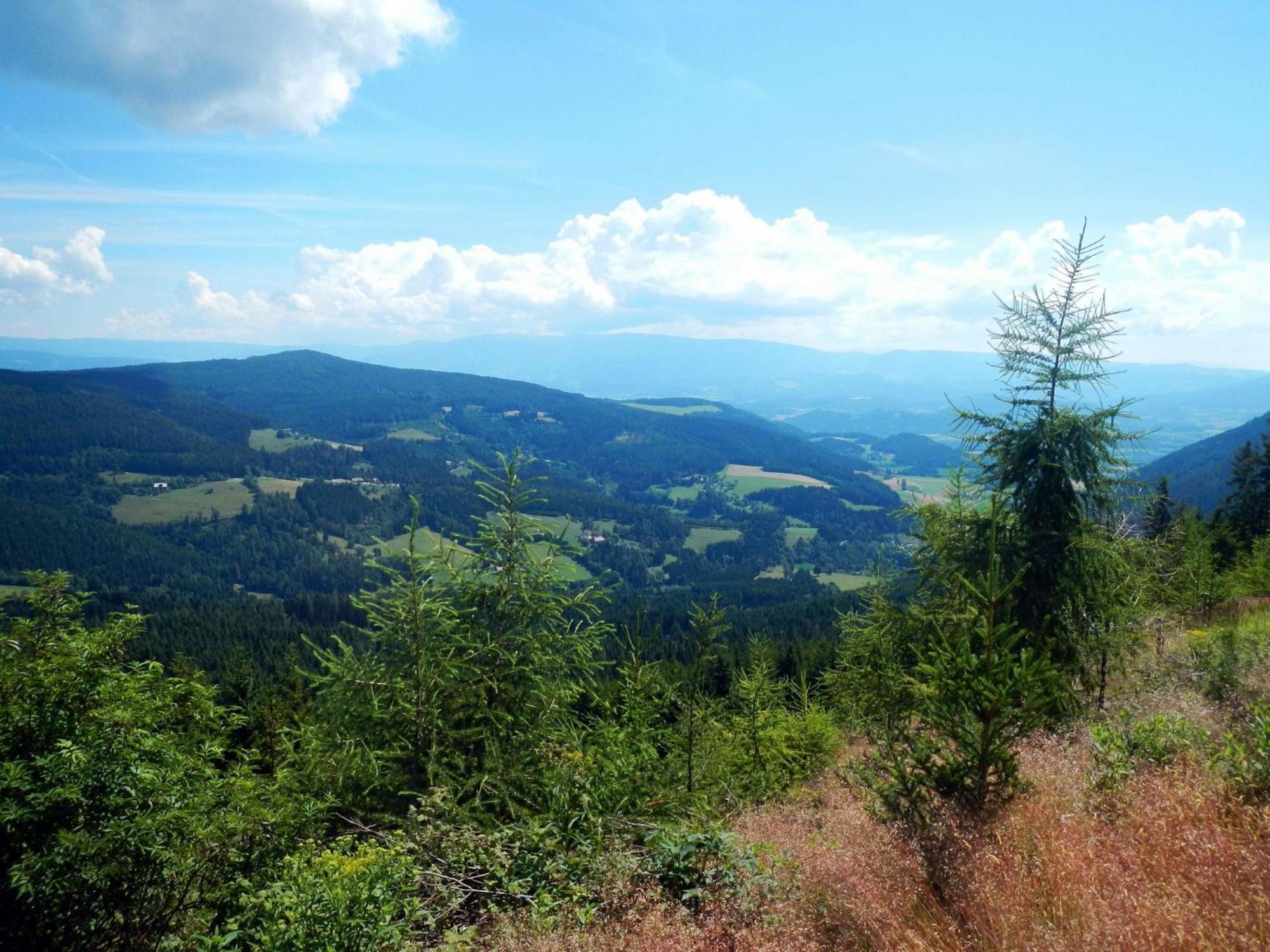 Detached Wooden Chalet In Liebenfels Carinthia Near The Simonh He Ski Area Zewnętrze zdjęcie